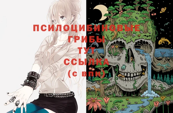 прущая мука Бронницы