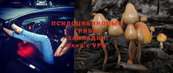 прущая мука Бронницы